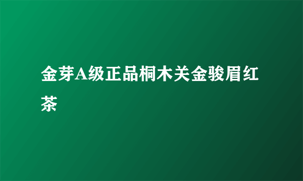 金芽A级正品桐木关金骏眉红茶