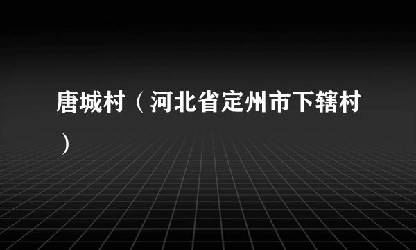 唐城村（河北省定州市下辖村）