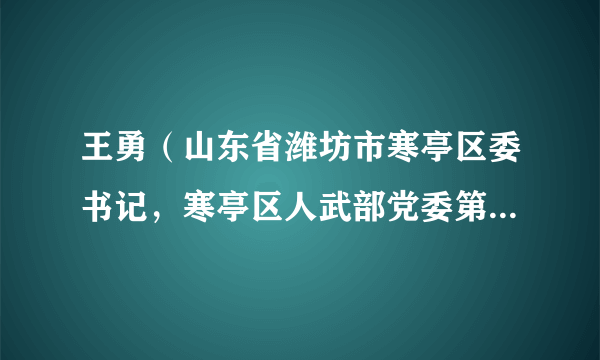 王勇（山东省潍坊市寒亭区委书记，寒亭区人武部党委第一书记，潍坊经济开发区（农综区核心区）党工委书记）