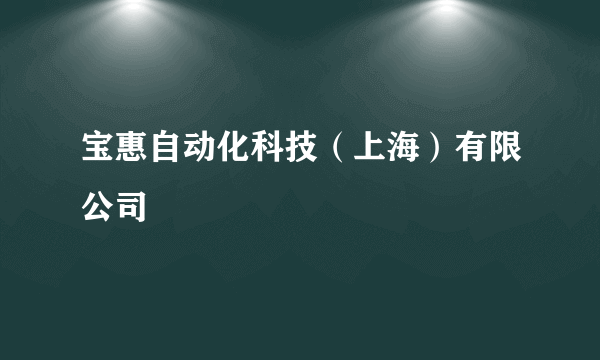 宝惠自动化科技（上海）有限公司