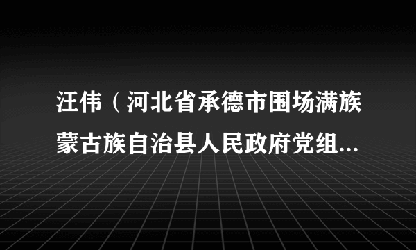 汪伟（河北省承德市围场满族蒙古族自治县人民政府党组成员、办公室副主任）