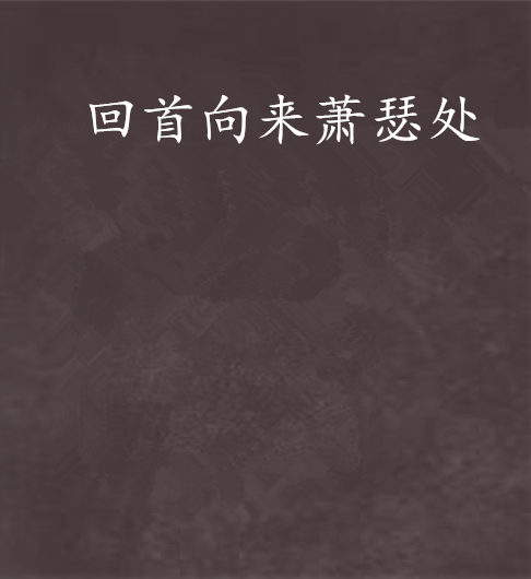 回首向来萧瑟处（物是我非创作言情小说）