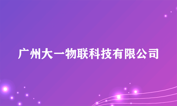 广州大一物联科技有限公司