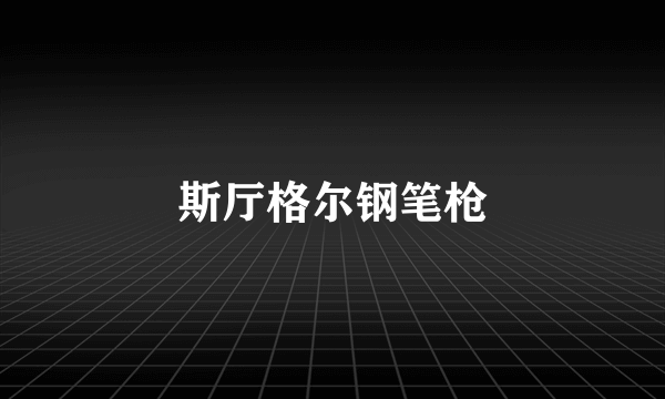 斯厅格尔钢笔枪