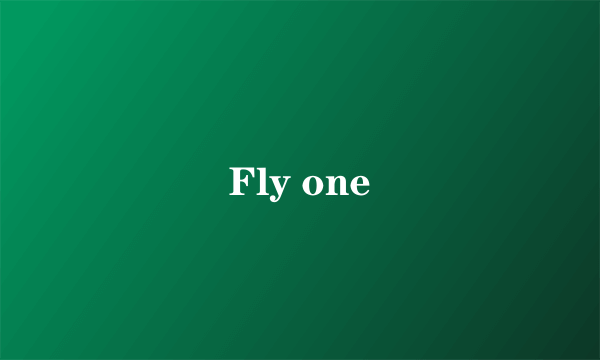 Fly one