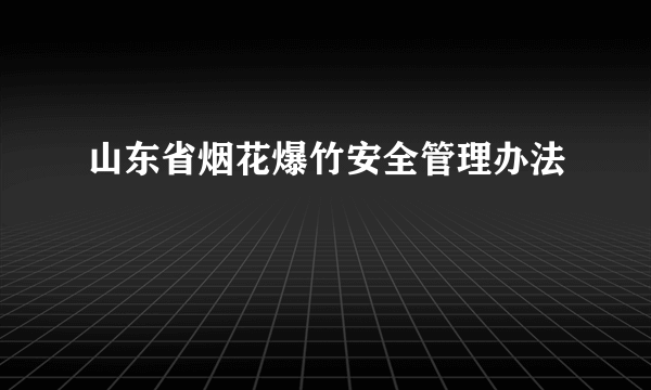 山东省烟花爆竹安全管理办法