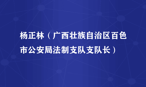 杨正林（广西壮族自治区百色市公安局法制支队支队长）