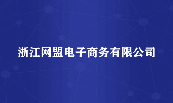 浙江网盟电子商务有限公司