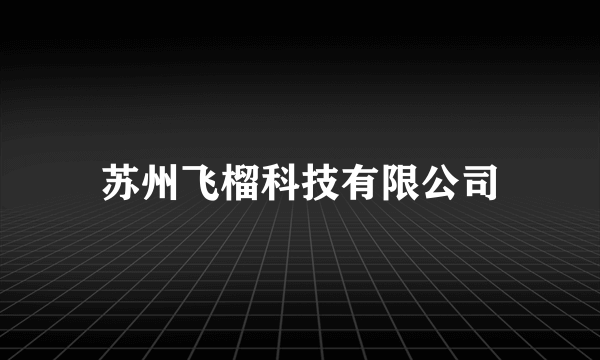 苏州飞榴科技有限公司