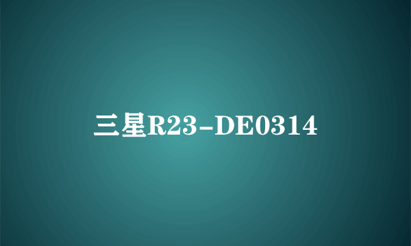 三星R23-DE0314