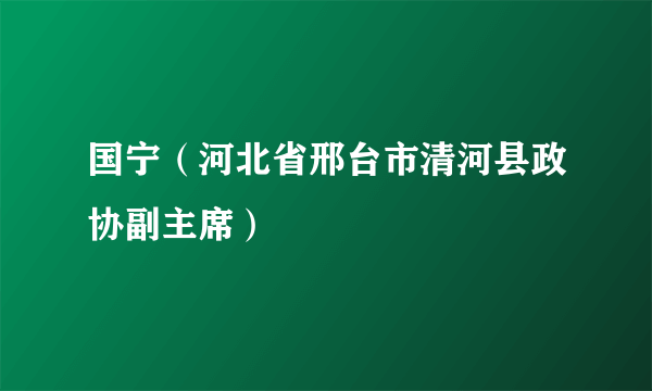 国宁（河北省邢台市清河县政协副主席）