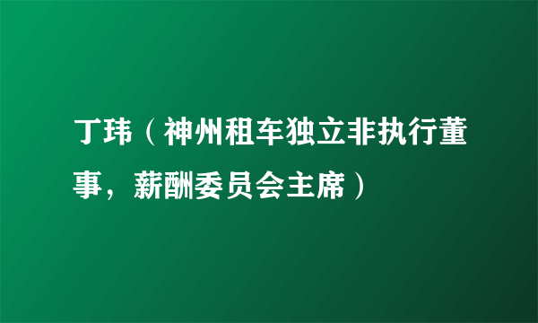 丁玮（神州租车独立非执行董事，薪酬委员会主席）