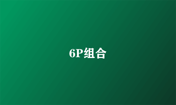 6P组合