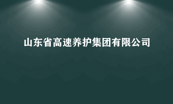 山东省高速养护集团有限公司