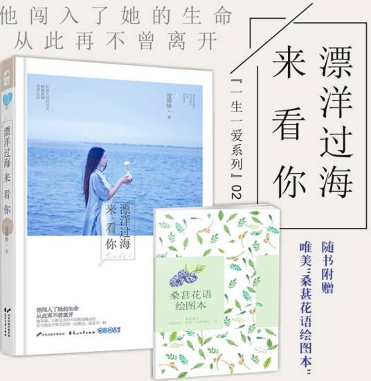 漂洋过海来看你（2016年花山文艺出版社出版的图书）