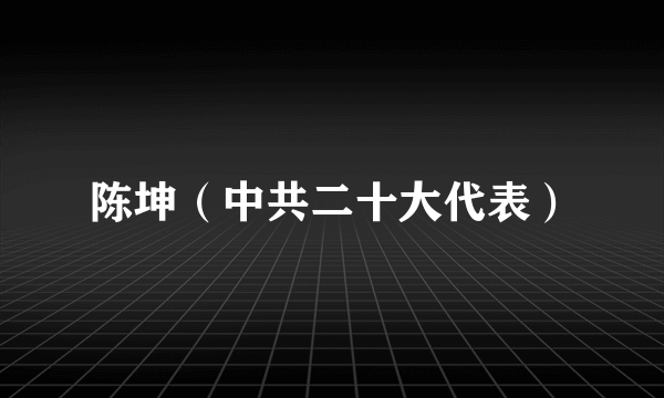 陈坤（中共二十大代表）