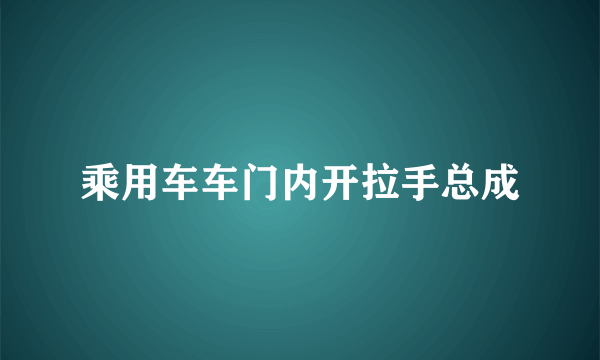 乘用车车门内开拉手总成