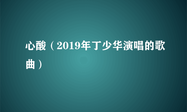 心酸（2019年丁少华演唱的歌曲）