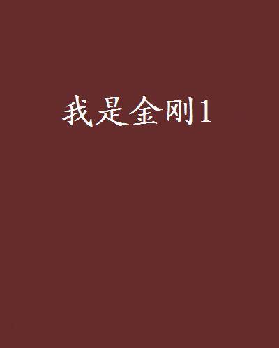 我是金刚1