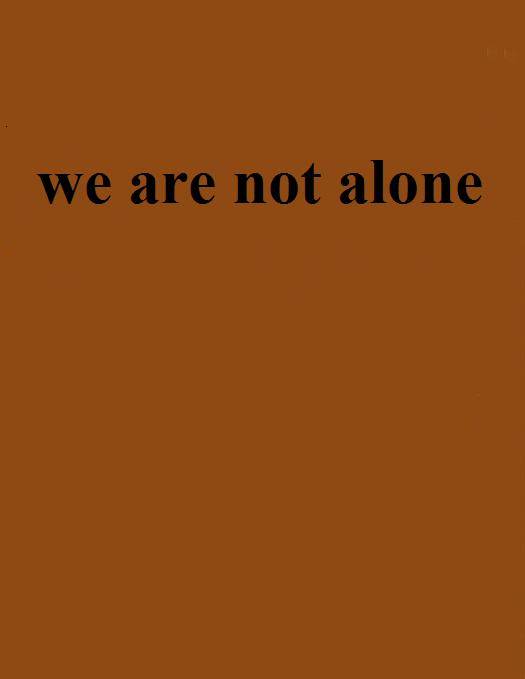 we are not alone（mirroring创作的网络小说）