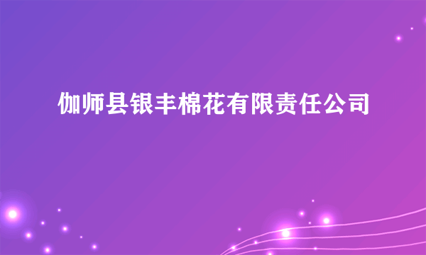 伽师县银丰棉花有限责任公司