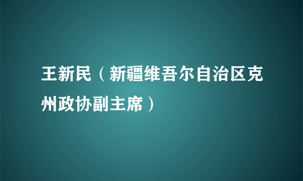 王新民（新疆维吾尔自治区克州政协副主席）