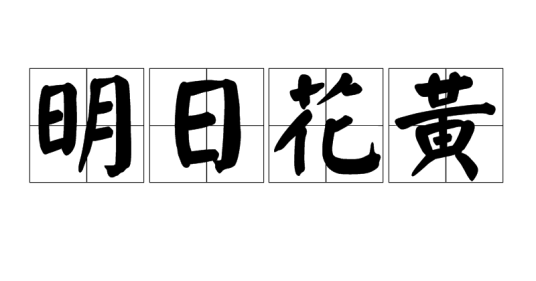 明日花黄（汉语词语）