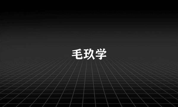 毛玖学