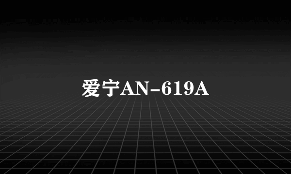 爱宁AN-619A