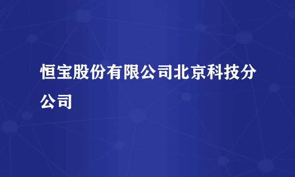 恒宝股份有限公司北京科技分公司