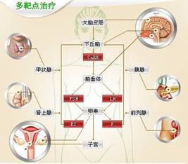 靶向疗法