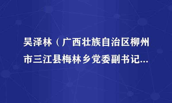 吴泽林（广西壮族自治区柳州市三江县梅林乡党委副书记、乡长）