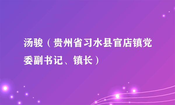 汤骏（贵州省习水县官店镇党委副书记、镇长）