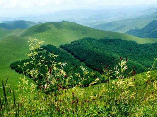 翠云山森林度假景区