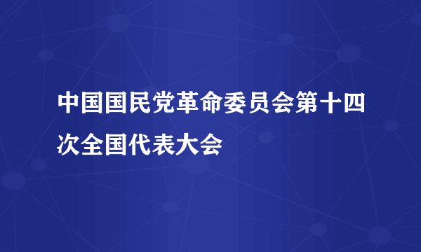 中国国民党革命委员会第十四次全国代表大会