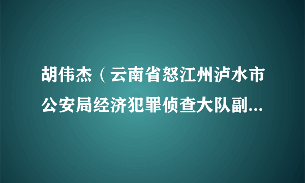 胡伟杰（云南省怒江州泸水市公安局经济犯罪侦查大队副大队长）