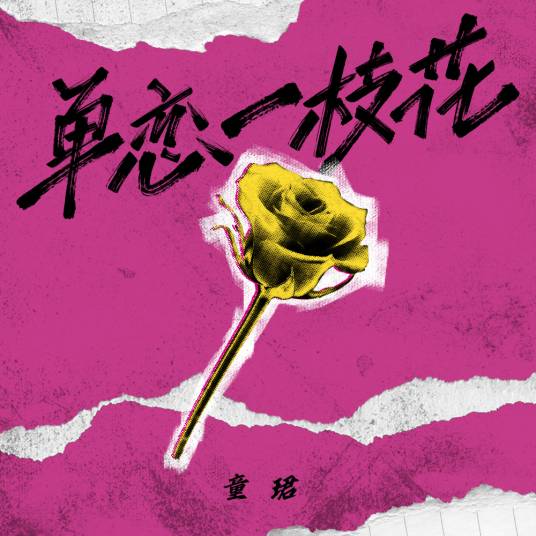 单恋一枝花（童珺翻唱的歌曲）