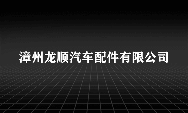 漳州龙顺汽车配件有限公司