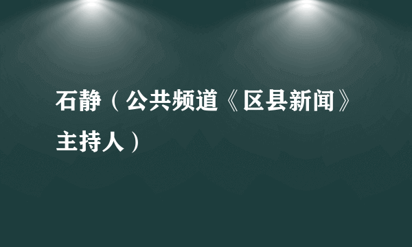 石静（公共频道《区县新闻》主持人）