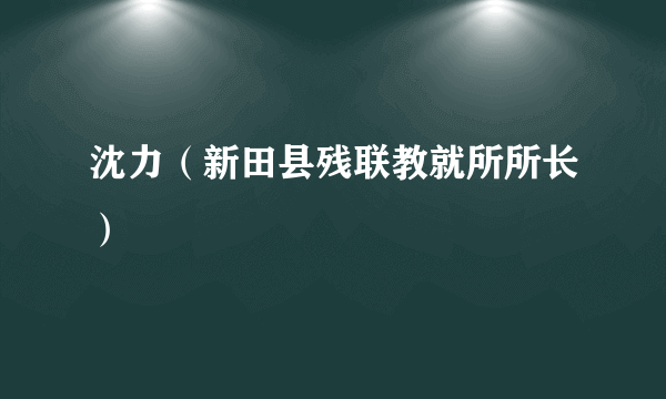 沈力（新田县残联教就所所长）