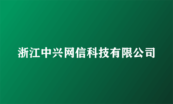 浙江中兴网信科技有限公司