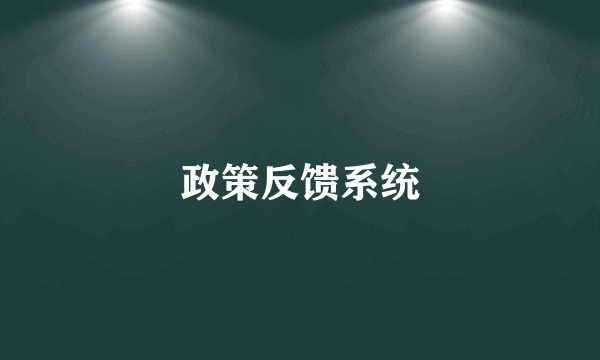 政策反馈系统