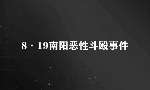 8·19南阳恶性斗殴事件