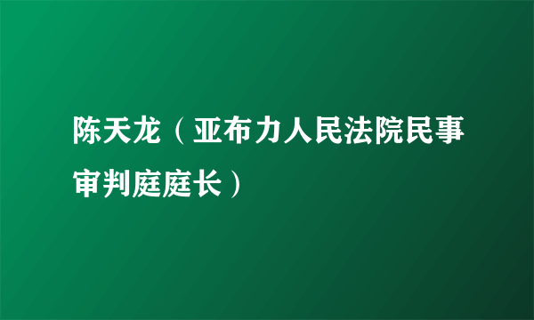 陈天龙（亚布力人民法院民事审判庭庭长）