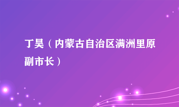 丁昊（内蒙古自治区满洲里原副市长）