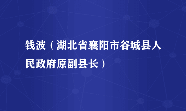 钱波（湖北省襄阳市谷城县人民政府原副县长）