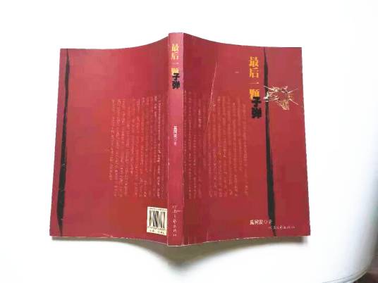 最后一颗子弹（2007年河南文艺出版社出版的图书）