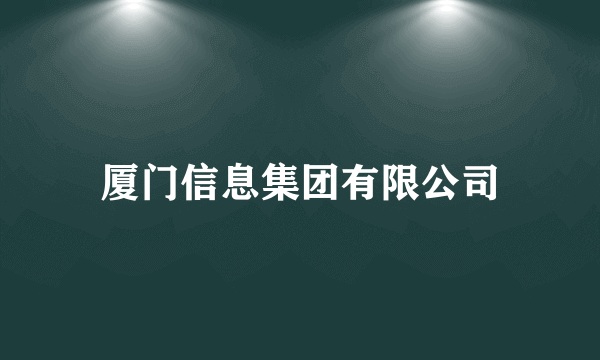 厦门信息集团有限公司