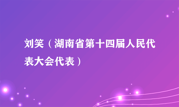 刘笑（湖南省第十四届人民代表大会代表）