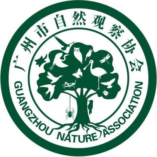 GNA（社会团体，公益性组织）